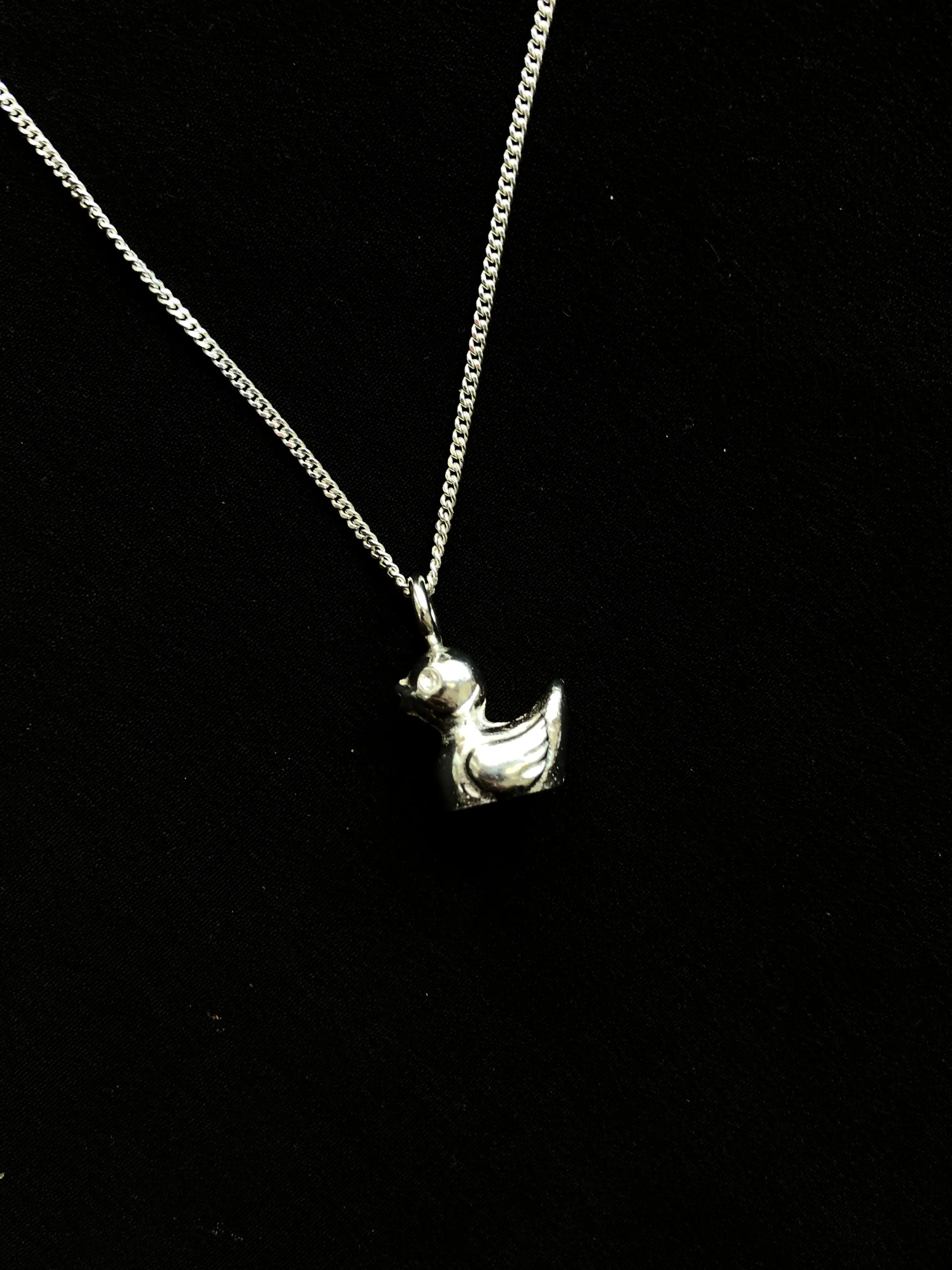 Duck on chain