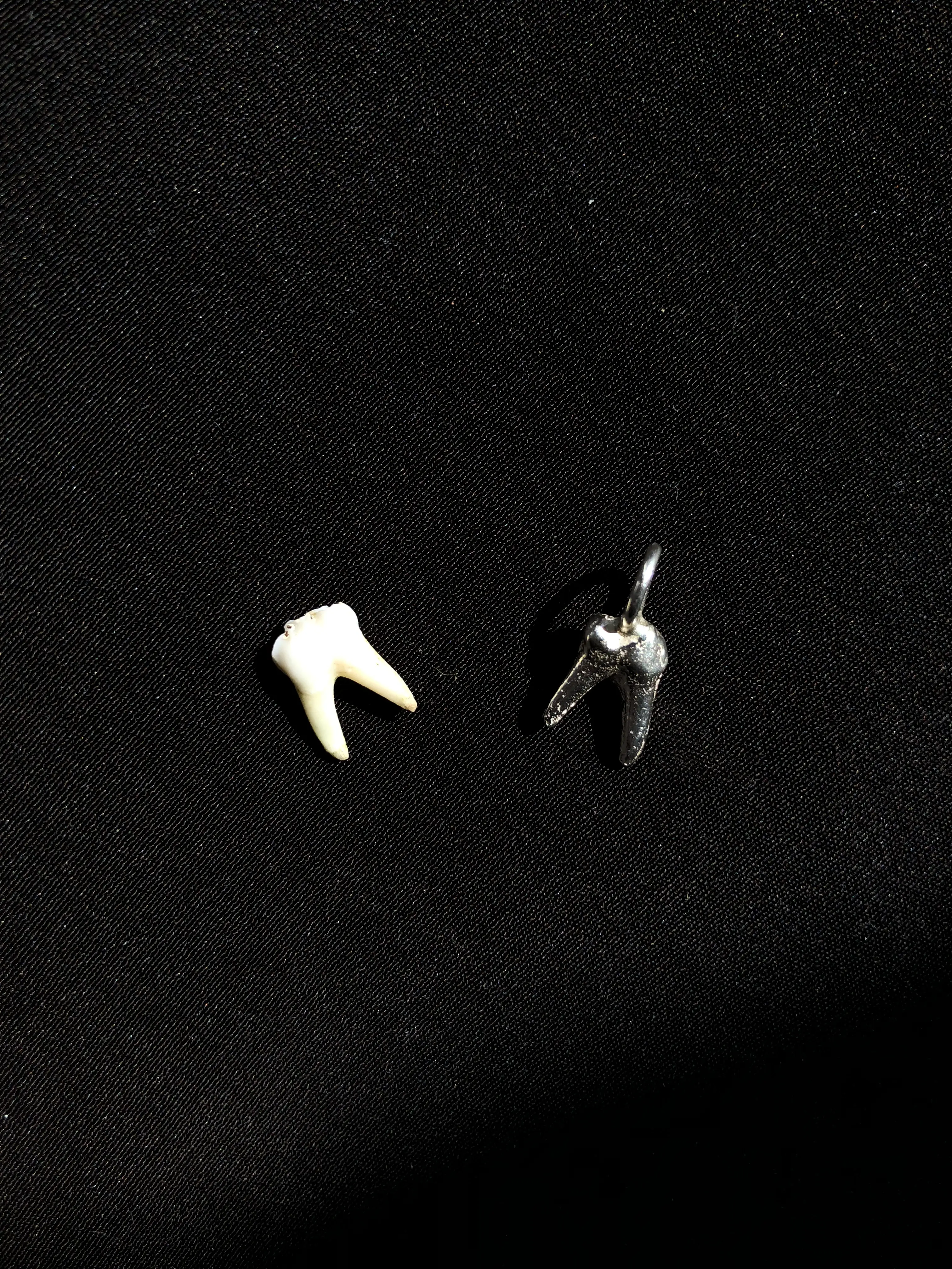 Tooth charm